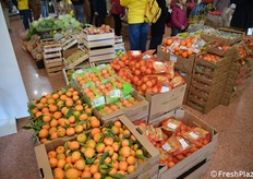 Agrumi calabresi in mostra