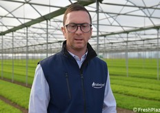 Carmine Granito (Italian Leaf)