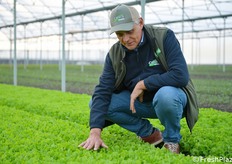 Bacchi controlla una delle varietà Cora Seeds