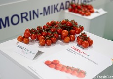 Il pomodoro ciliegino Giubilo di Vilmorin Mikado.