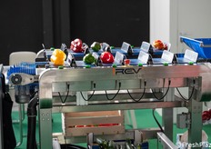 Pesatrice elettronica combinatoria.