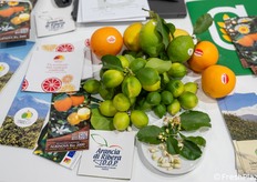 Arance e limoni del Distretto Agrumi di Sicilia.