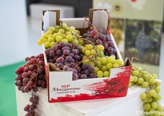 L'Uva da Tavola IGP di Mazzarrone.