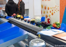 Calibratrice elettronica per frutta.