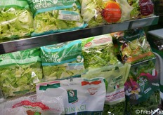 IV gamma della Ambruosi & Viscardi