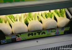 Finocchio dell'OP Mita