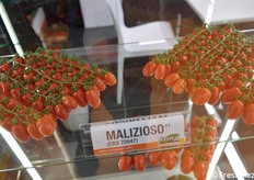 La nuova proposta di Cora Seeds