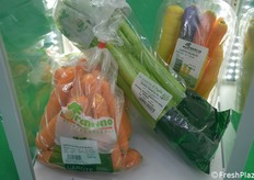 Alcune referenze di Frontino