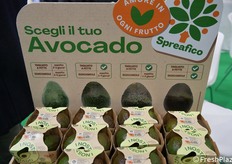 L'avocado di Spreafico