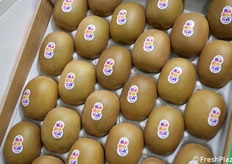 Il coloratissimo bollino KiKoKa