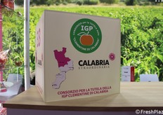 Ben rappresentato anche il Consorzio per la Tutela della "Clementine di Calabria" IGP