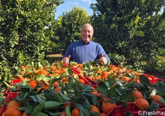 L'elevato valore Brix e un'acidità equilibrata offrono un'armonia di sapori