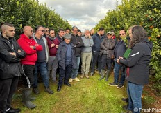 Si è tenuto lo scorso 17 gennaio 2026 presso due aziende agrumicole meridionali, una ubicata a Castellaneta (in Puglia) e l'altra a Pisticci (in Basilicata), la giornata tecnica in campo dedicata al mandarino tardivo apireno Valley Gold®. A partecipare all'evento itinerante, una 60ina di persone di diversa provenienza.