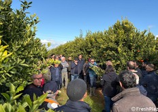 Ai presenti vengono fornite indicazioni sulla preparazione del terreno, sesto d'impianto, strategie di difesa/nutrizione e gestione della chioma.