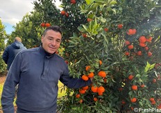 L'agrumicoltore Angelo Capurso, con un ettaro di Valley Gold messo a dimora nel 2021, su una densità di circa 650 piante.
