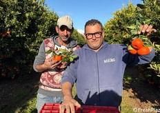Il frutto Valley Gold presenta una buccia con un colore rosso arancio che attira l'attenzione, è resistente alla pioggia e al danneggiamento.
