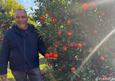 Il vivaista concessionario Giuseppe Di Natale