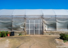 Ingresso della serra vetrina del Centro di ricerca Syngenta di Acate, sede dell’open day.