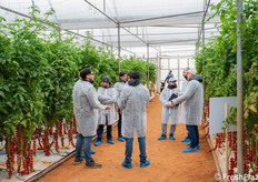 Momenti di confronto tecnico durante la visita in serra con produttori e operatori della filiera.