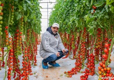 Ciro Santoro, responsabile tecnico commerciale Sicilia di Syngenta.