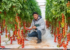 Giovanni Di Giacomo, responsabile tecnico commerciale Sicilia di Syngenta Vegetable Seeds. 30.
