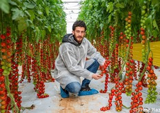 Daniele Montesi, product specialist Pomodoro Syngenta Vegetable Seeds.