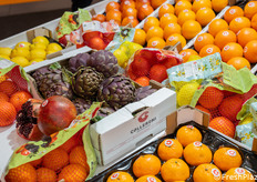 Selezione di prodotti Colleroni.