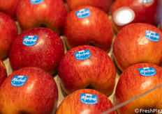 La mela Marlene prodotta e commercializzata dal Consorzio VOG.
