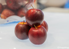 Le mele Isaaq (mela snack) pensata per il consumo moderno, veloce e "on-the-go".