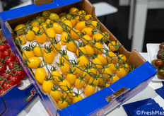 Una cassetta di pomodoro Mirasol prodotto dall’azienda Fondacaro.
