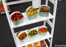 Selezione di pomodori ciliegino prodotti dall’azienda Zàris.