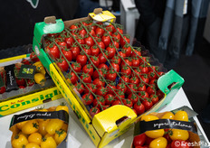 Pomodorino prodotto dall’azienda Consiglio.