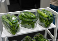 Peperoni frigitelli prodotti dall’azienda DO.RO.