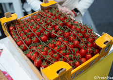 Datterino prodotto dall’azienda Tre C.