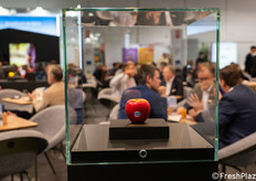 Una mela dell’Alto Adige in esposizione.