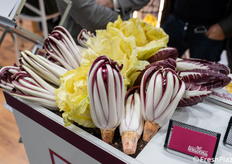 Il Radicchio Rosso di Treviso IGP Tardivo dopo la raccolta autunnale, viene messo in vasche con acqua corrente di risorgiva per la fase di forzatura e imbianchimento, che stimola nuovi germogli. Dopo circa due settimane si passa alla toelettatura, al lavaggio e al confezionamento, completando un processo tradizionale che ne definisce qualità e forma unica.