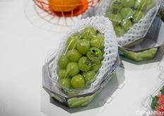 L’uva di K-graphe.