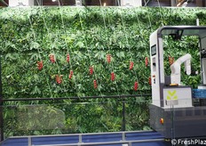 Scenografico allestimento in fiera.