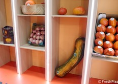 Una zucca gigante tra altre tipologie.