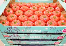 Una proposta polacca: il pomodoro rosa.