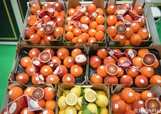 Una bella esposizione di arance e limoni di Gold Selection