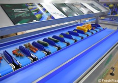 Un particolare della macchina peso combinato esposta da Bulltec