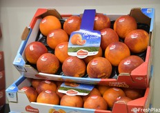 Arance Tarocco dell'azienda 3Moretti in mostra in fiera