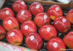 Samboa, un nuovo segmento di mela extra dolce