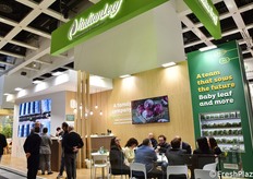 La OP ItalianLeaf è specializzata nella produzione di baby leaf.