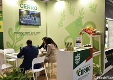 Cerro è una realtà agricola situata nel salernitano, specializzata nella produzione di ortaggi, in particolare pomodori (come il Piccadilly) e kiwi, inserita nel contesto produttivo della Piana del Sele.