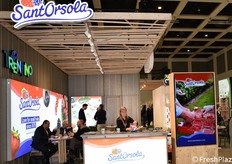 Sant’Orsola è un’organizzazione di produttori specializzata in piccoli frutti. Gestisce la filiera produttiva integrando ricerca e innovazione per offrire fragole, mirtilli e lamponi, inclusa la linea certificata Residuo Zero.