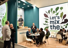 Maddalo produce e commercializza baby leaf di prima gamma coltivate nella Piana del Sele. Gestisce l’intera filiera, dal taglio al confezionamento, per garantire prodotti freschi sui mercati internazionali.