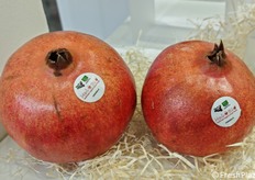 Il marchio aziendale MeloBio qualifica sia le melagrane fresche sia le bottigliette di succo che ne deriva.