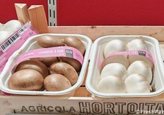 Funghi prataioli bianchi e crema. Bio, buoni da mangiare, senza grassi e a basso contenuto di zuccheri. Ma l'azienda - facente parte della Agricola Hortoitalia Op - ha ampliato la sua gamma anche con altre quattro tipologie di funghi.